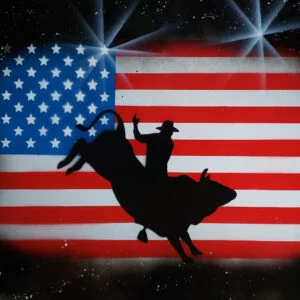 USA Bronco