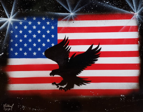 USA Flag and Eagle