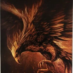 Phoenix 1