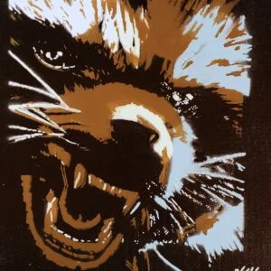 Rocket Raccoon no3