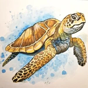 Sea Turtle