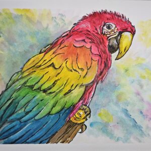 True Parrot