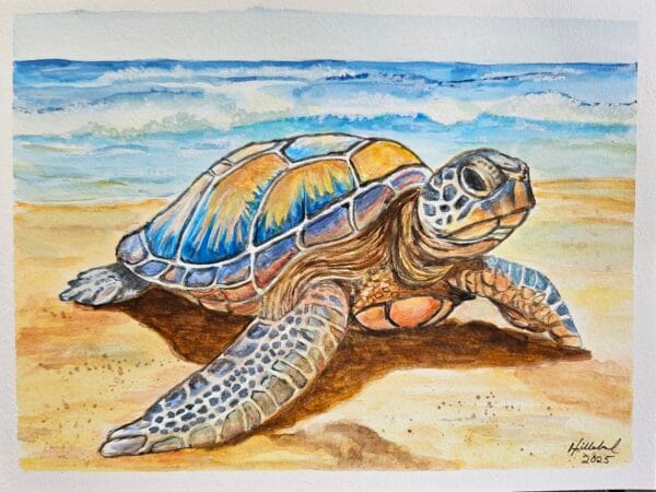 Sea Turtle