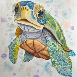 Baby Sea Turtle 1