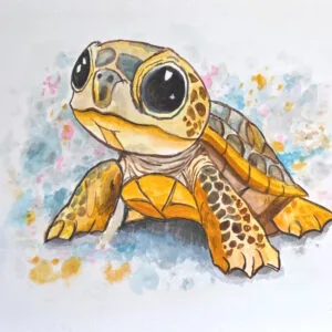 Baby Sea Turtle