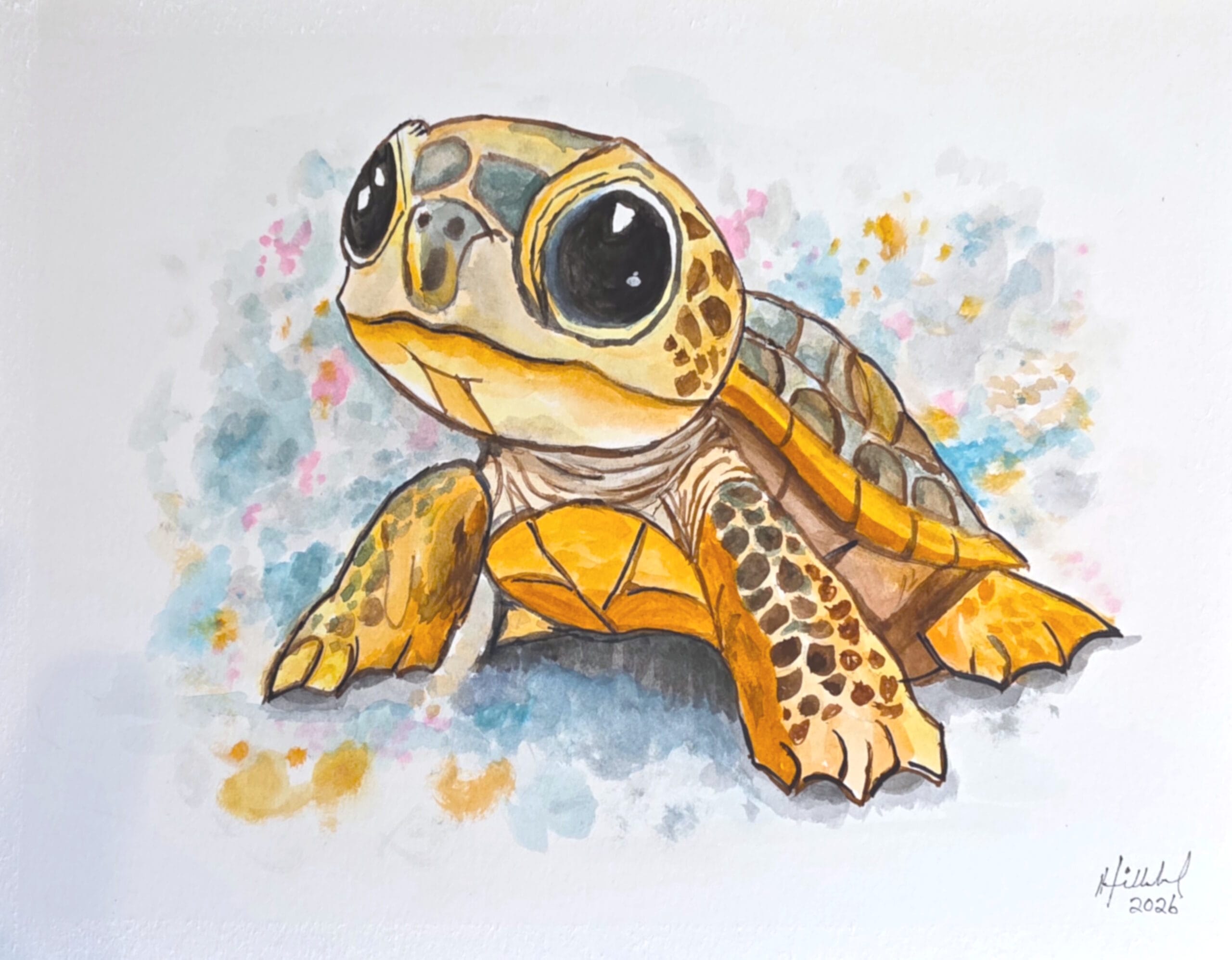 Baby Sea Turtle