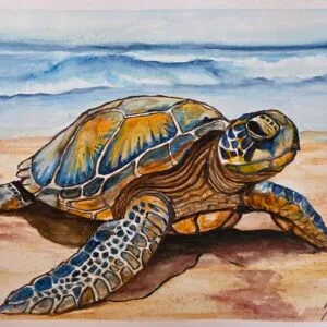 Sea Turtle